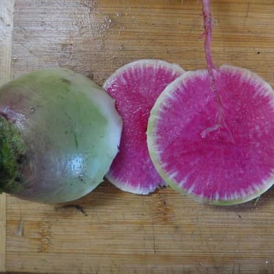 Watermelon Radish