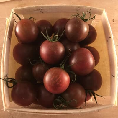 Black Cherry Tomato