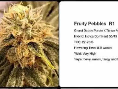 Fruity Pebbles R1