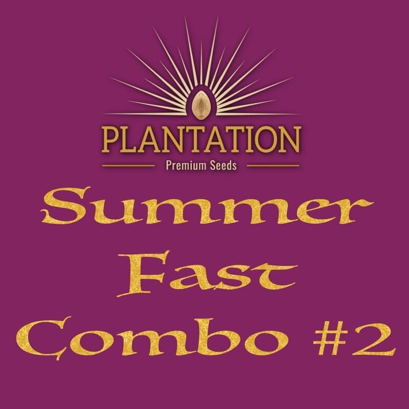 Summer Combo #2