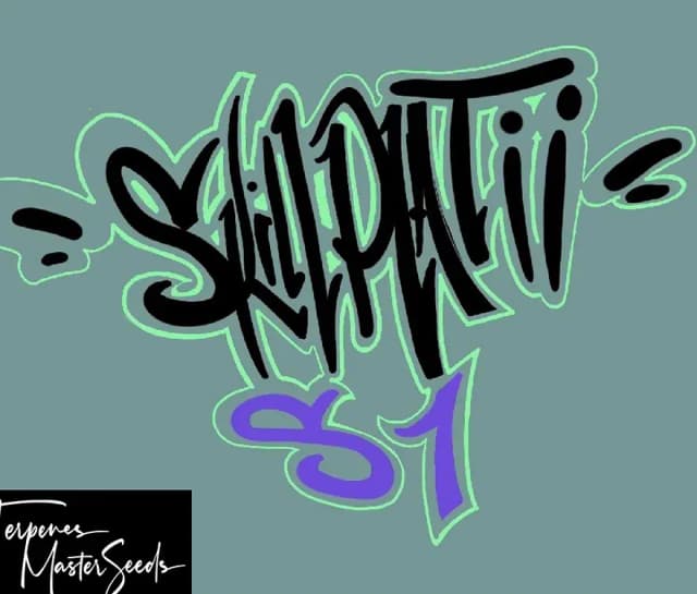 Skill Platii S1 Feminized — High-THC Sativa Dominant Powerhouse