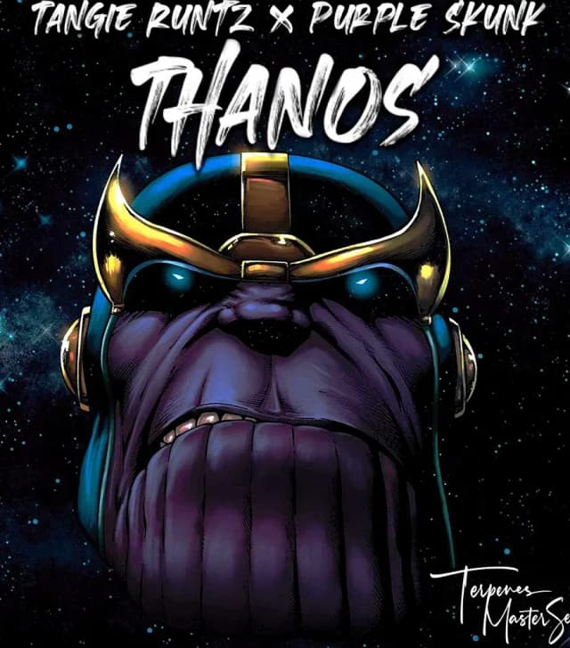 Thanos Feminized – The High-THC Hybrid That Commands Your Grow Room