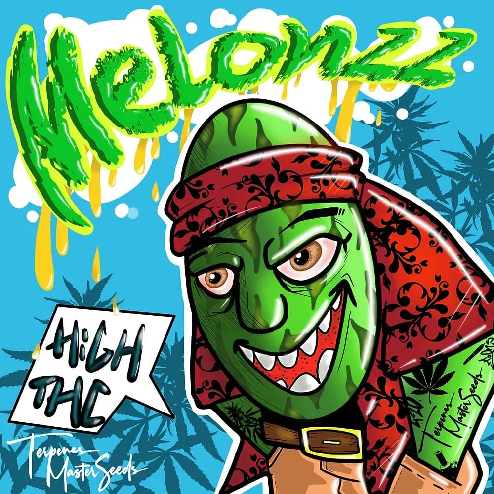 Melonzz Feminized