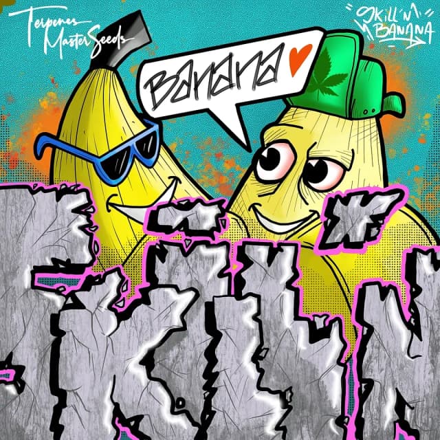 Skill'n Banana F1 Feminized – High-THC Skunky Banana Hybrid