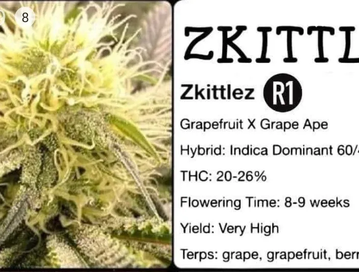 Zkittlez R1 Feminized