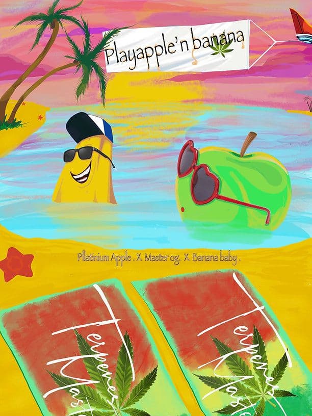 Playapple'n Banana F1 Feminized